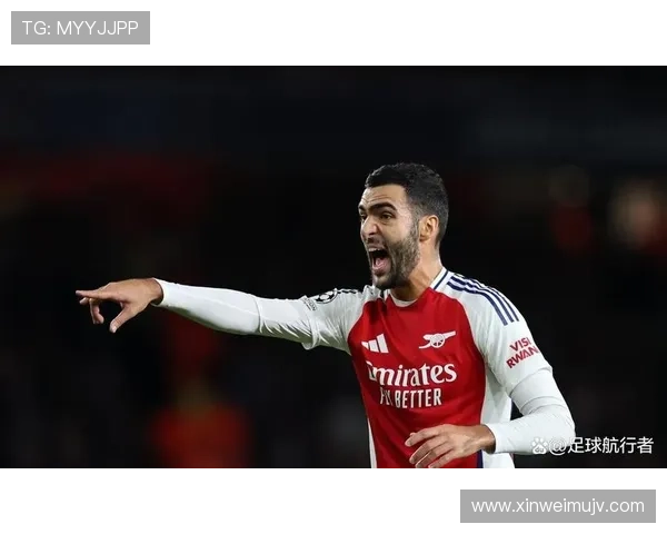 梅里诺战术适配性