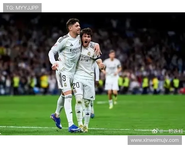 琼阿梅尼 vs 巴尔韦德：皇马中场战术角色与攻防贡献对比